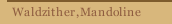 Waldzither,Mandoline
