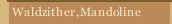 Waldzither,Mandoline